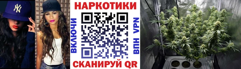 Виды наркотиков купить Димитровград Бошки Шишки  Галлюциногенные грибы  МЕФ  A PVP 