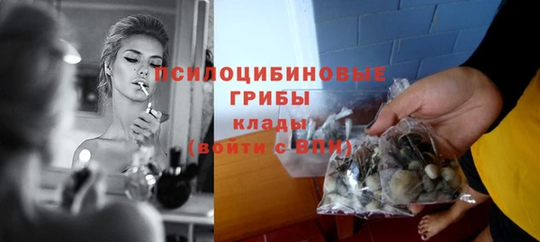 прущие крисы Алзамай