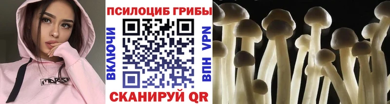 дарнет шоп Димитровград Галлюциногенные грибы GOLDEN TEACHER